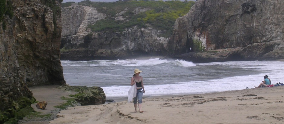 Beach Picnic May 19th Beach Clean Up